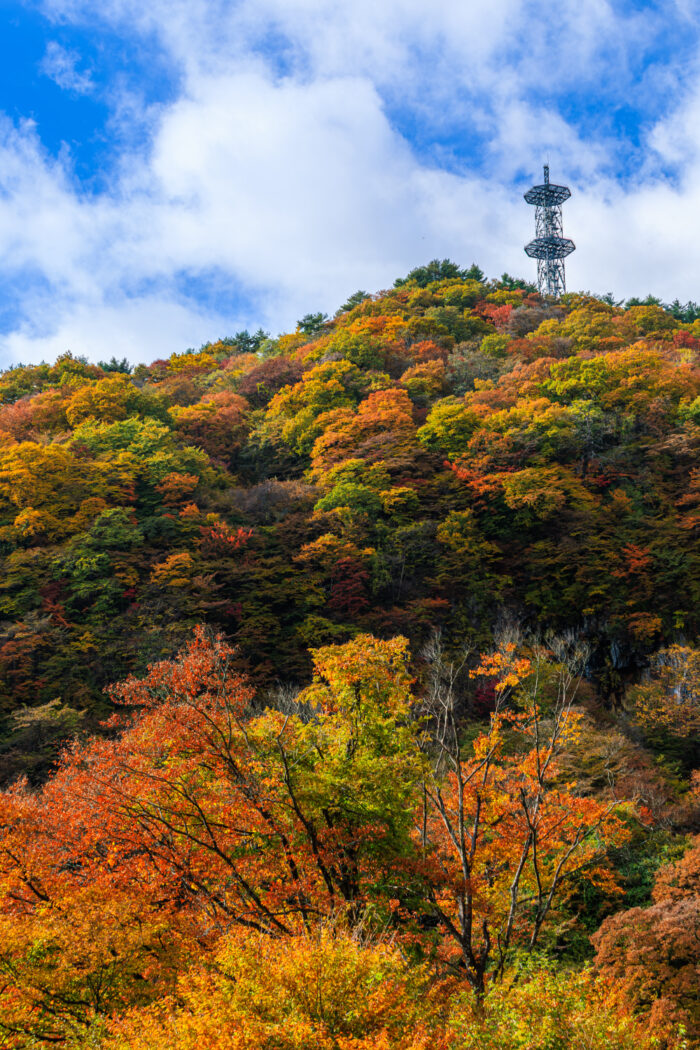 粕川渓谷の紅葉