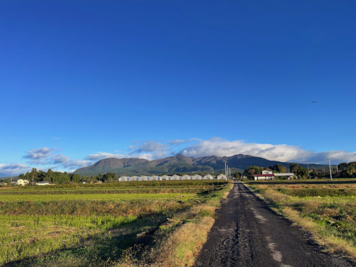 11月1日(土) AM 6:58 前橋市苗ケ島町