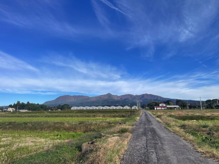 11月2日(日) AM 7:54 前橋市苗ケ島町