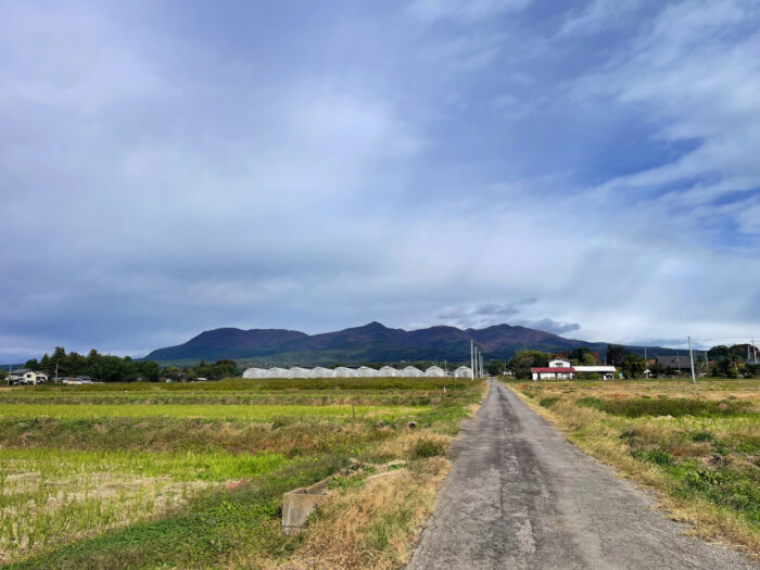 11月3日(月)　AM 9:29　前橋市苗ケ島町