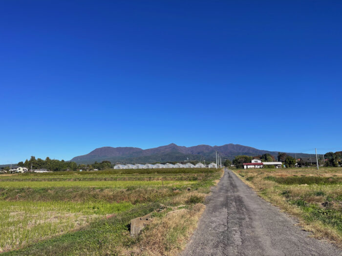 11月4日(火)　AM 8:50　前橋市苗ケ島町