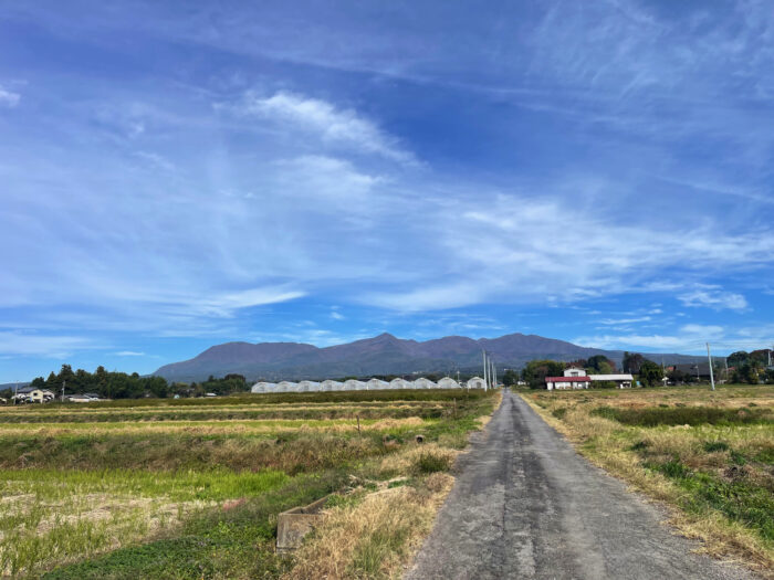 11月5日(水)　AM 9:20　前橋市苗ケ島町
