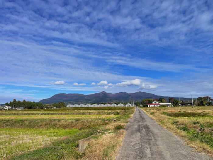 11月6日(木)　AM 9:33　前橋市苗ケ島町