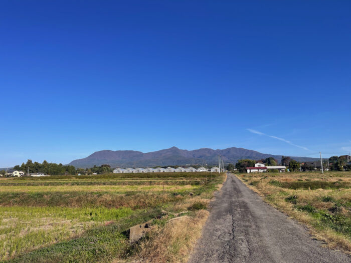 11月8日(土)　AM 8:16　前橋市苗ケ島町