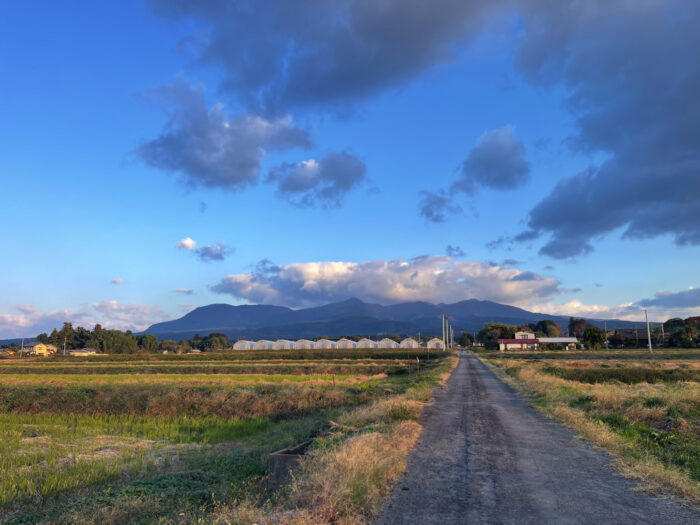 11月7日(金)　AM 6:54　前橋市苗ケ島町