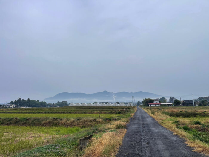 11月9日(日)　AM 10:29　前橋市苗ケ島町