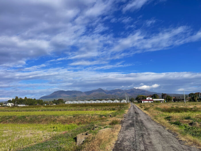 11月10日(月)　AM 8:38　前橋市苗ケ島町