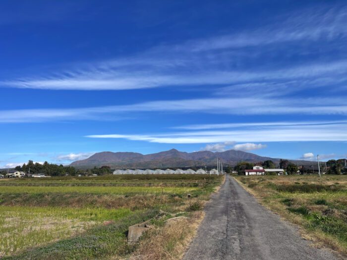 11月11日(火)　AM 8:47　前橋市苗ケ島町