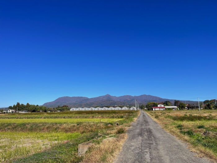 11月12日(水)　AM 9:40　前橋市苗ケ島町