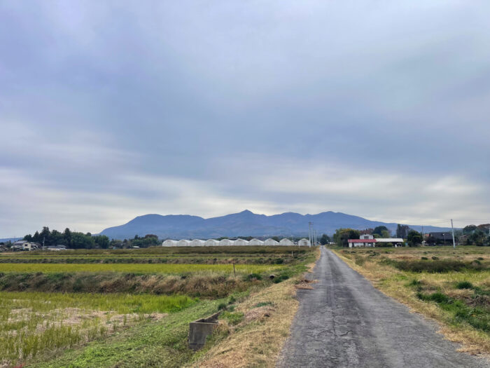 11月13日(木)　AM 8:26　前橋市苗ケ島町