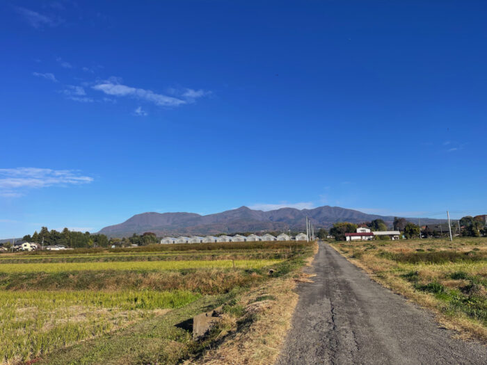 11月15日(土)　AM 8:08　前橋市苗ケ島町