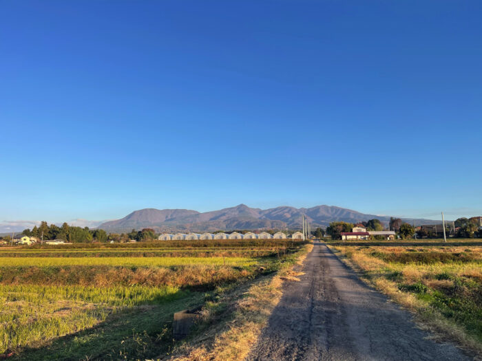 11月14日(金)　AM 7:00　前橋市苗ケ島町