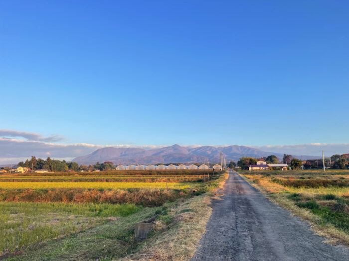 11月16日(日)　AM 6:55　前橋市苗ケ島町