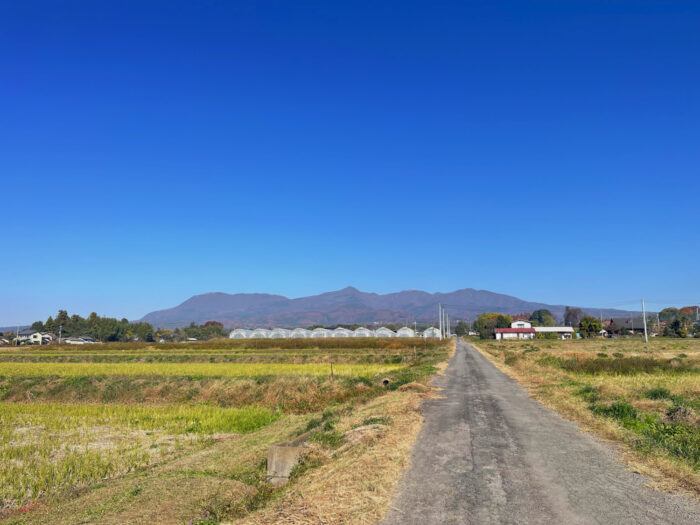 11月17日(月)　AM 9:52　前橋市苗ケ島町