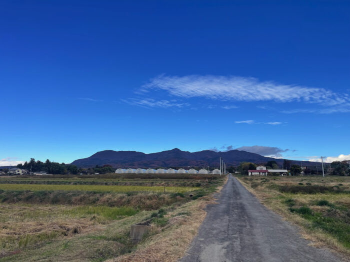 11月18日(火) AM 9:23 前橋市苗ケ島町