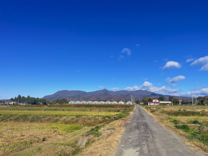 11月19日(水)　AM 10:18　前橋市苗ケ島町