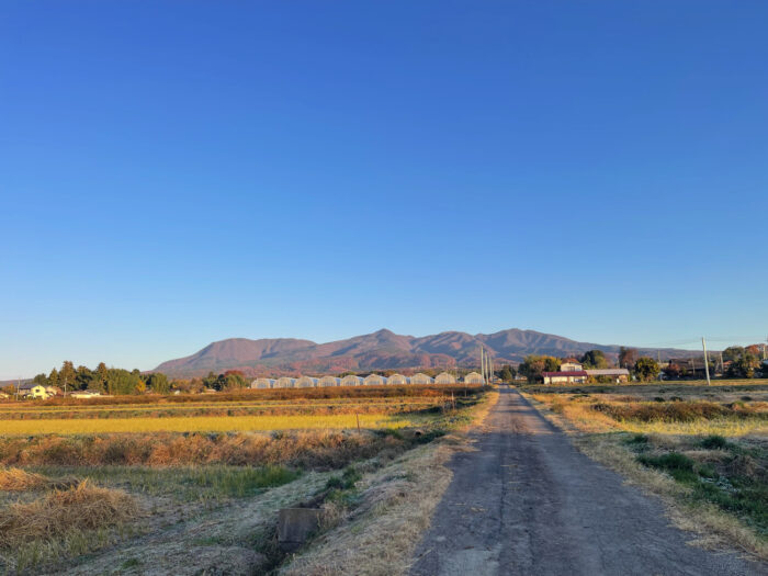 11月20日(木)　AM 6:59　前橋市苗ケ島町