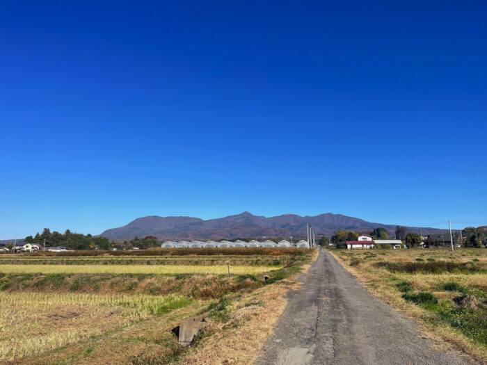 11月21日(金)　AM 8:52　前橋市苗ケ島町