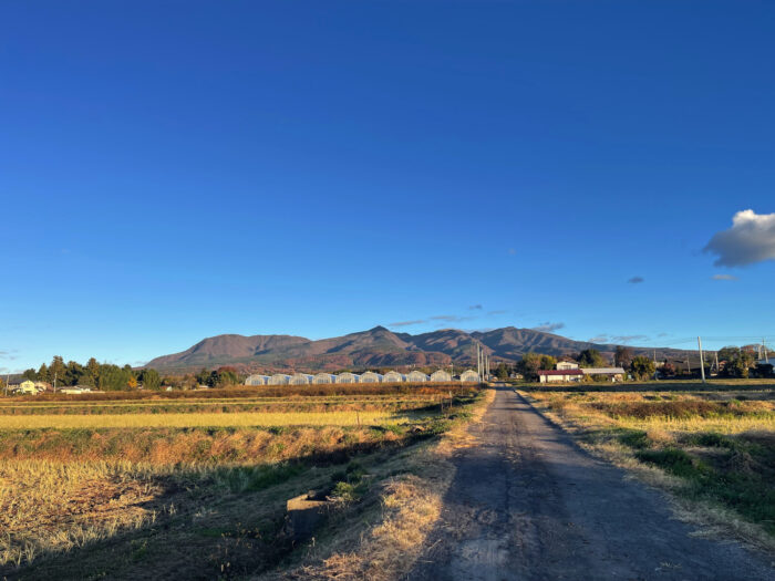 11月22日(土)　AM 7:05　前橋市苗ケ島町