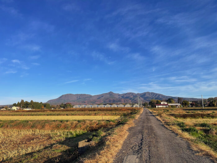 11月24日(月)　AM 7:25　前橋市苗ケ島町