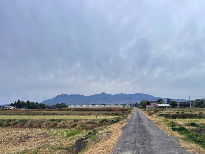 11月25日(火)　AM 8:55　前橋市苗ケ島町