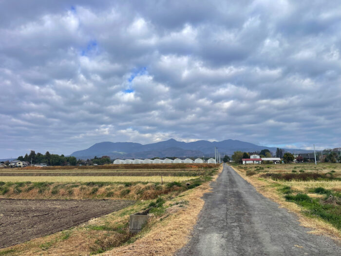 11月27日(木) AM 9:28 前橋市苗ケ島町