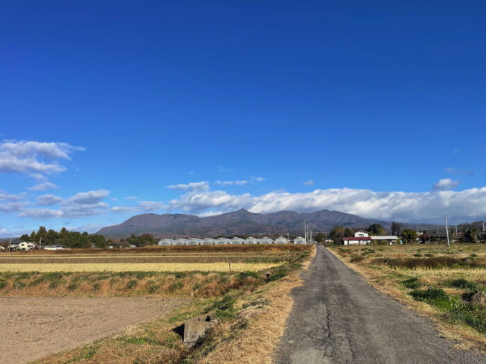11月28日(金)　AM 8:39　前橋市苗ケ島町