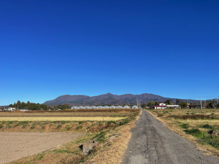 11月29日(土)　AM 8:55　前橋市苗ケ島町