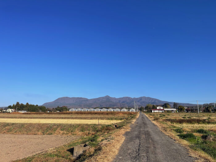 11月30日(日)　AM 8:22　前橋市苗ケ島町