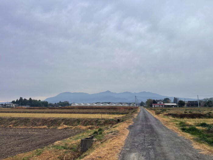 12月3日(水)　AM 9:46　前橋市苗ケ島町