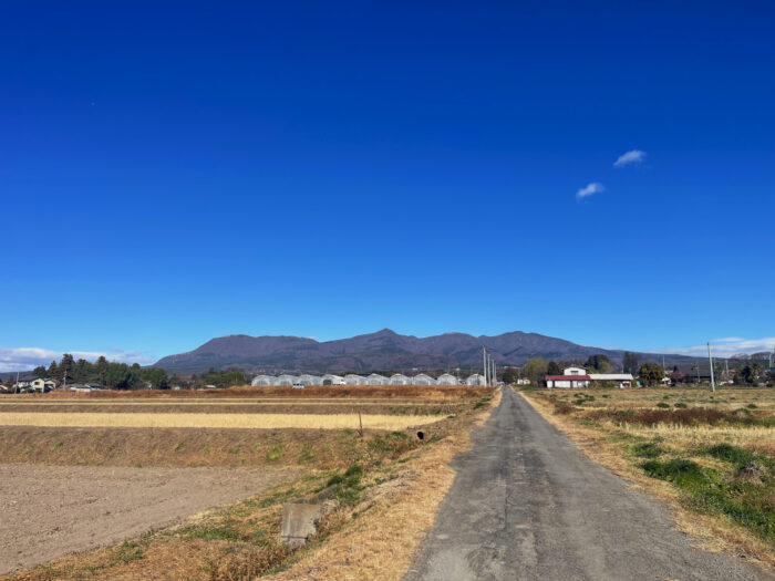 12月10日(水)　AM 10:01　前橋市苗ケ島町