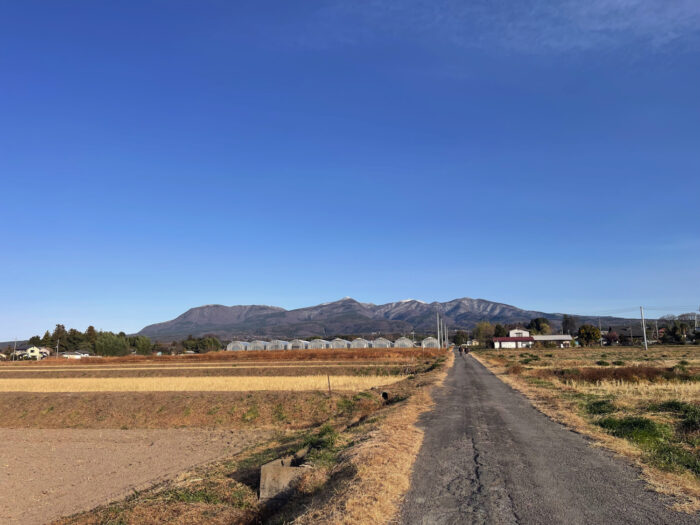 12月13日(土)　AM 8:12　前橋市苗ケ島町