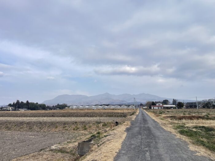 1月19日(月)　AM 9:54　前橋市苗ケ島町