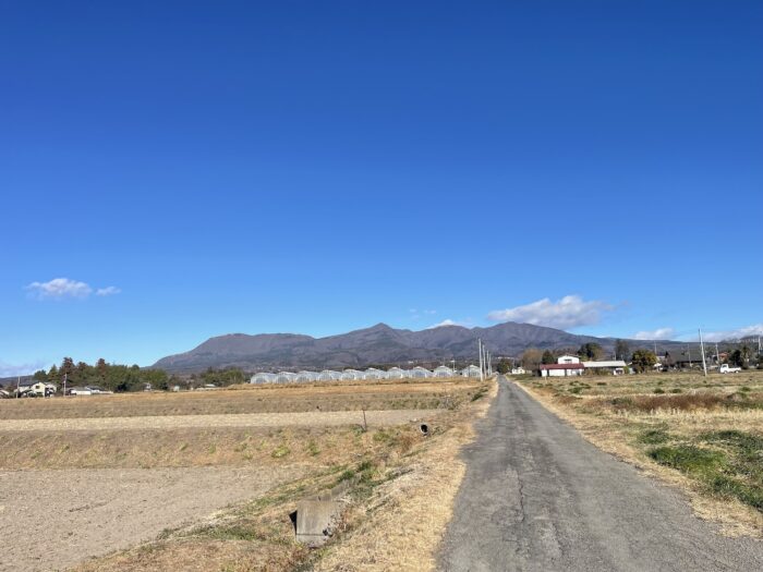12月31日(水)　AM 9:35　前橋市苗ケ島町