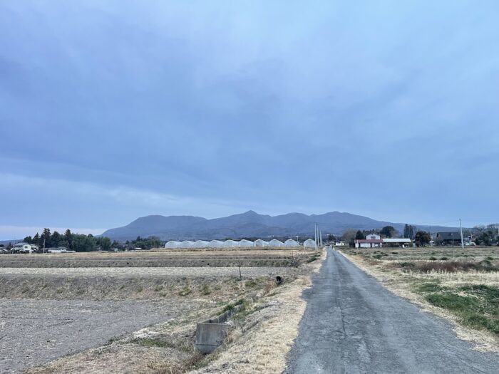 1月11日(日)　AM 6:53　前橋市苗ケ島町