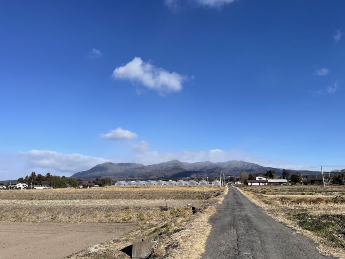 2月19日(木)　AM 8:43　前橋市苗ケ島町