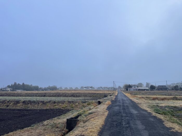 2月26日(木)　AM 7:01　前橋市苗ケ島町