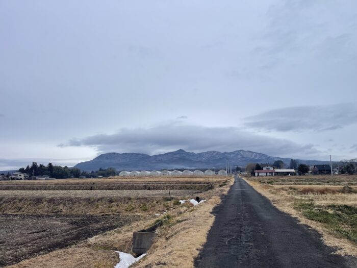 2月11日(水)　AM 8:05　前橋市苗ケ島町