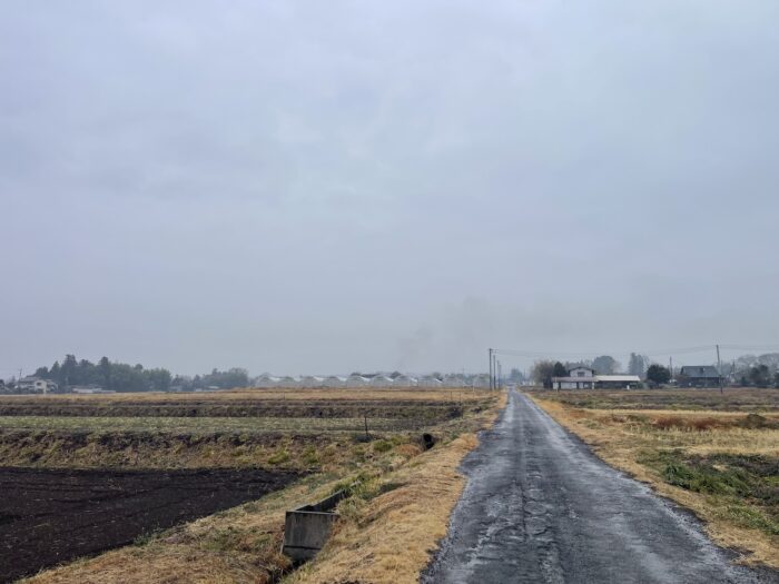 2月25日(水)　AM 9:13　前橋市苗ケ島町