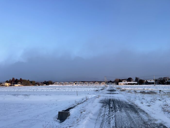 2月9日(月)　AM 6:51　前橋市苗ケ島町