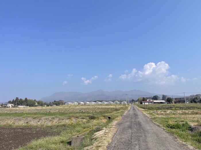 3月29日(日) AM 8:50 前橋市苗ケ島町