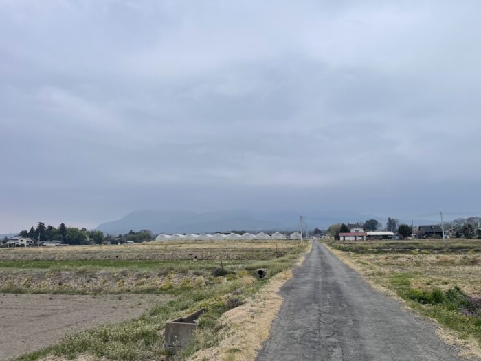 3月25日(水)　AM 8:22　前橋市苗ケ島町