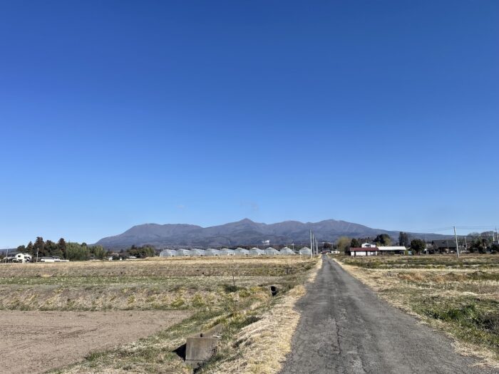 3月12日(木)　AM 8:55　前橋市苗ケ島町