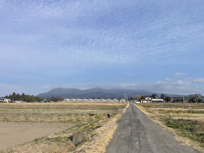 3月2日(月)　AM 9:01　前橋市苗ケ島町