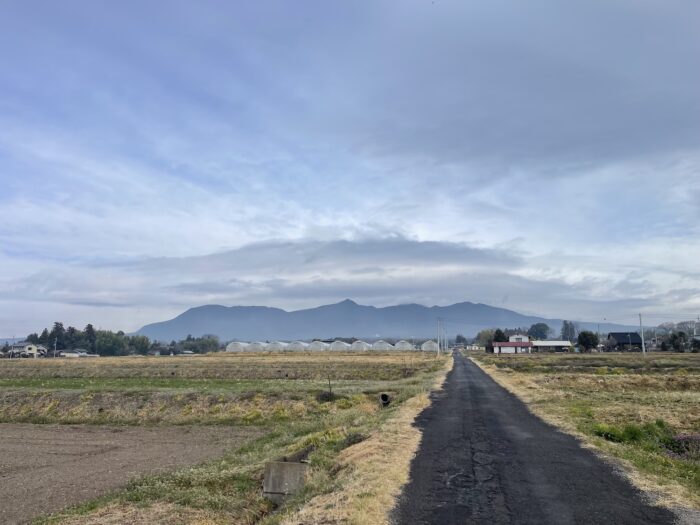 3月19日(木)　AM 9:03　前橋市苗ケ島町