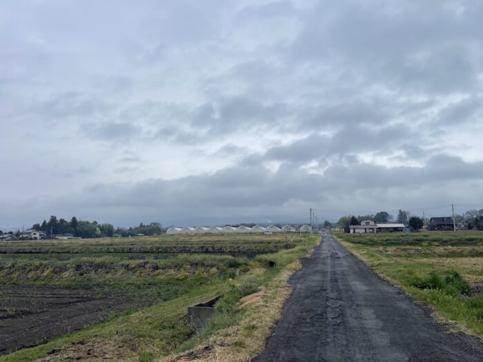 3月31日(火)　AM 8:09　前橋市苗ケ島町