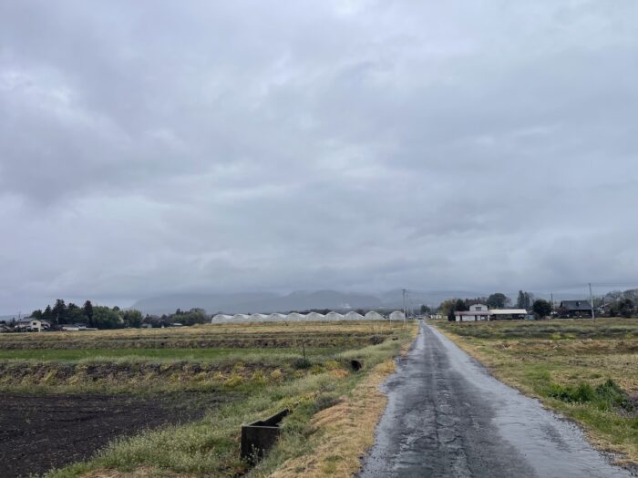 3月26日(木)　AM 8:17　前橋市苗ケ島町