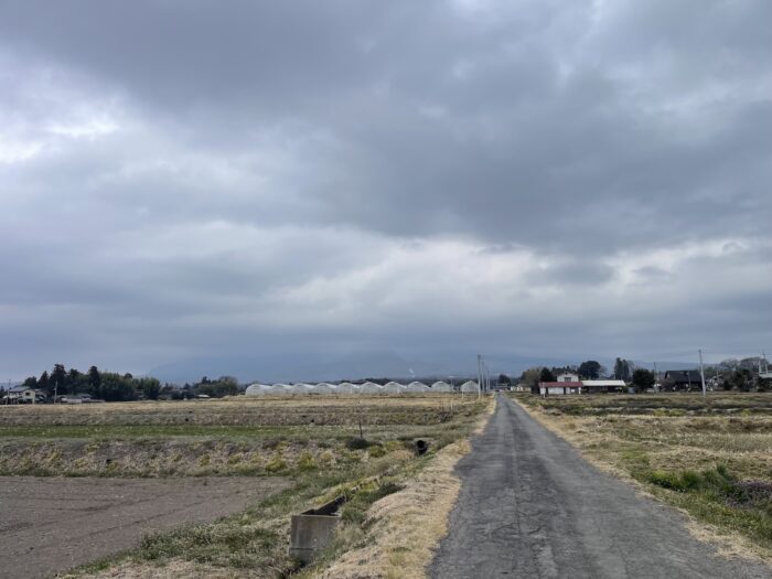 3月18日(水)　AM 11:00　前橋市苗ケ島町