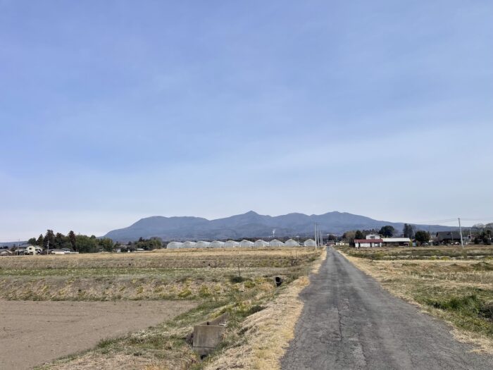 3月13日(金)　AM 8:59　前橋市苗ケ島町