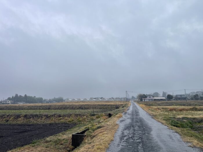 3月3日(火)　AM 10:01　前橋市苗ケ島町